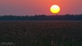 065_Biebrza - kwiecien 2012